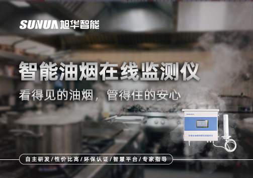 智能油烟在线监测仪：看得见的油烟，管得住的安心